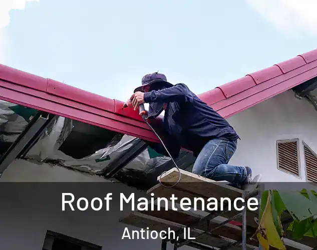  Roof Maintenance Antioch, IL