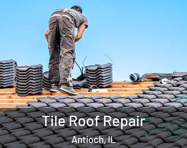  Tile Roof Repair Antioch, IL
