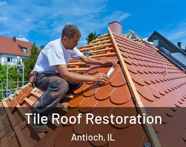  Tile Roof Restoration Antioch, IL